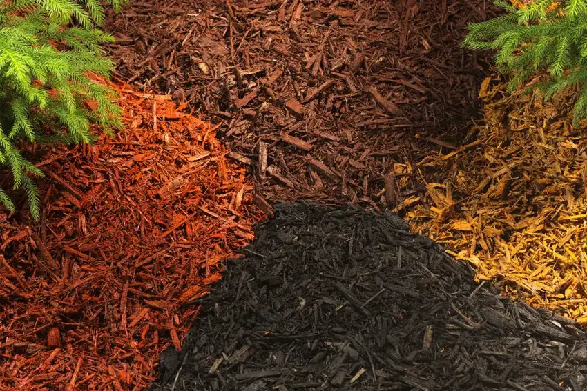 orlando lawn care Florida