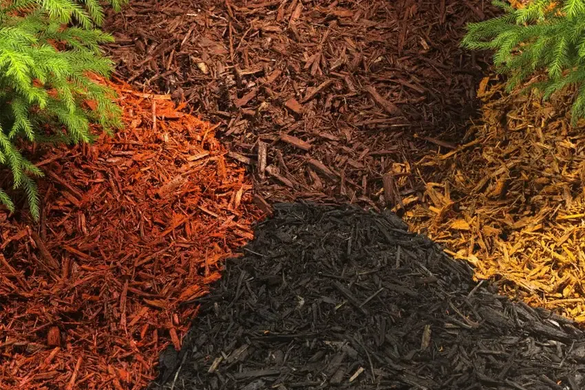 orlando lawn care Florida